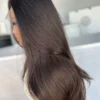 long dark virgin hair wig