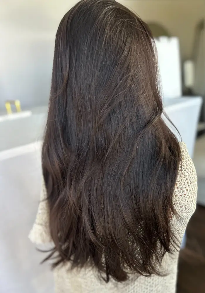 Virgin hair long dark brown