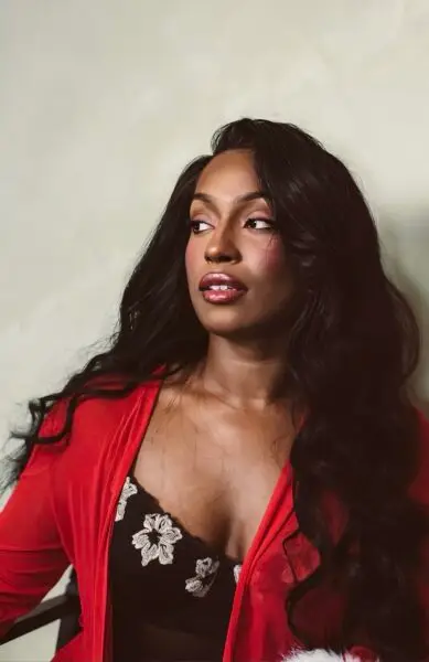 premiu raw hair dark brown wig